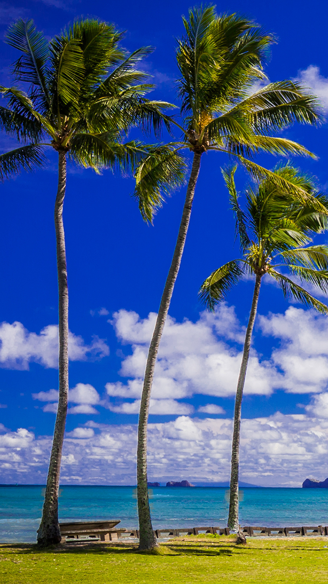 壁紙 1080x19 熱帯 海岸 空 アメリカ合衆国 ハワイ州 ヤシ 雲 自然 ダウンロード 写真