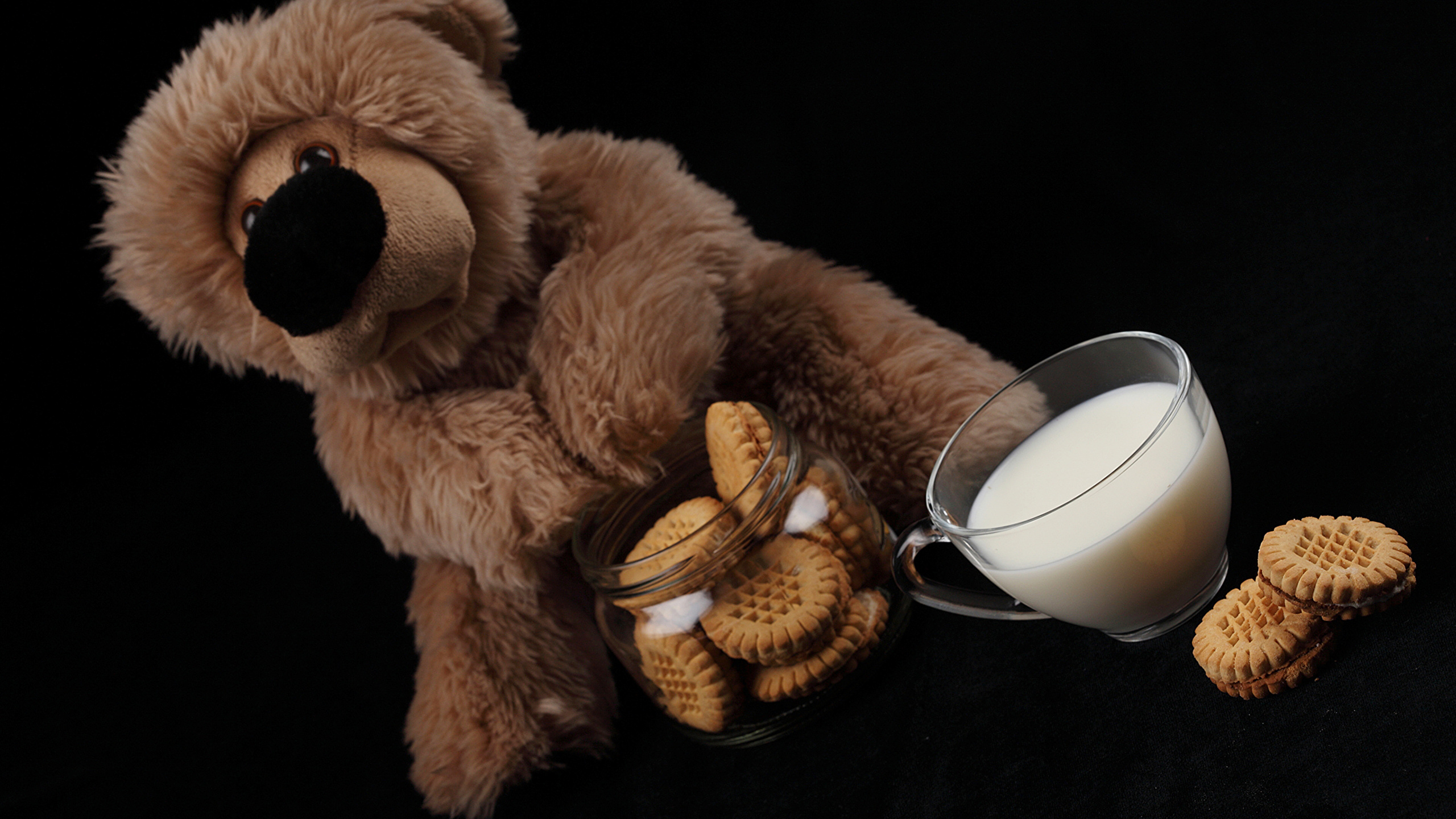 Desktop Wallpapers Milk Teddy bear Cup Food Cookies Black 2560x1440