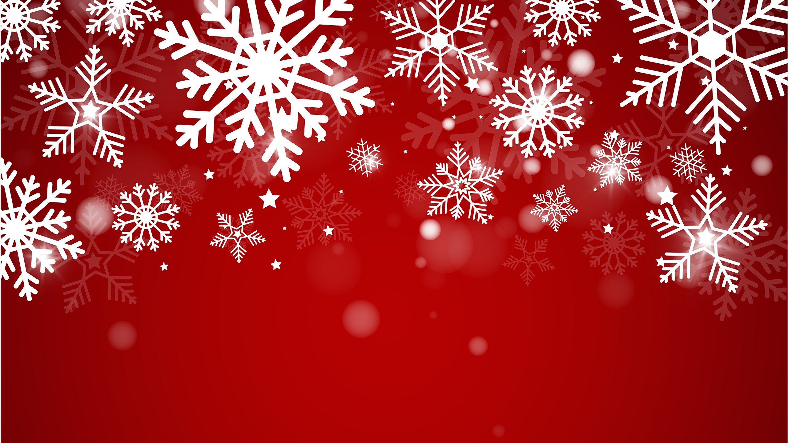 壁紙 2560x1440 新年 赤の背景 雪の結晶 テンプレートグリーティングカード ダウンロード 写真