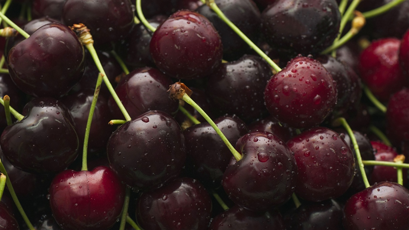 Photos Drops Cherry Food Berry Closeup 1366x768