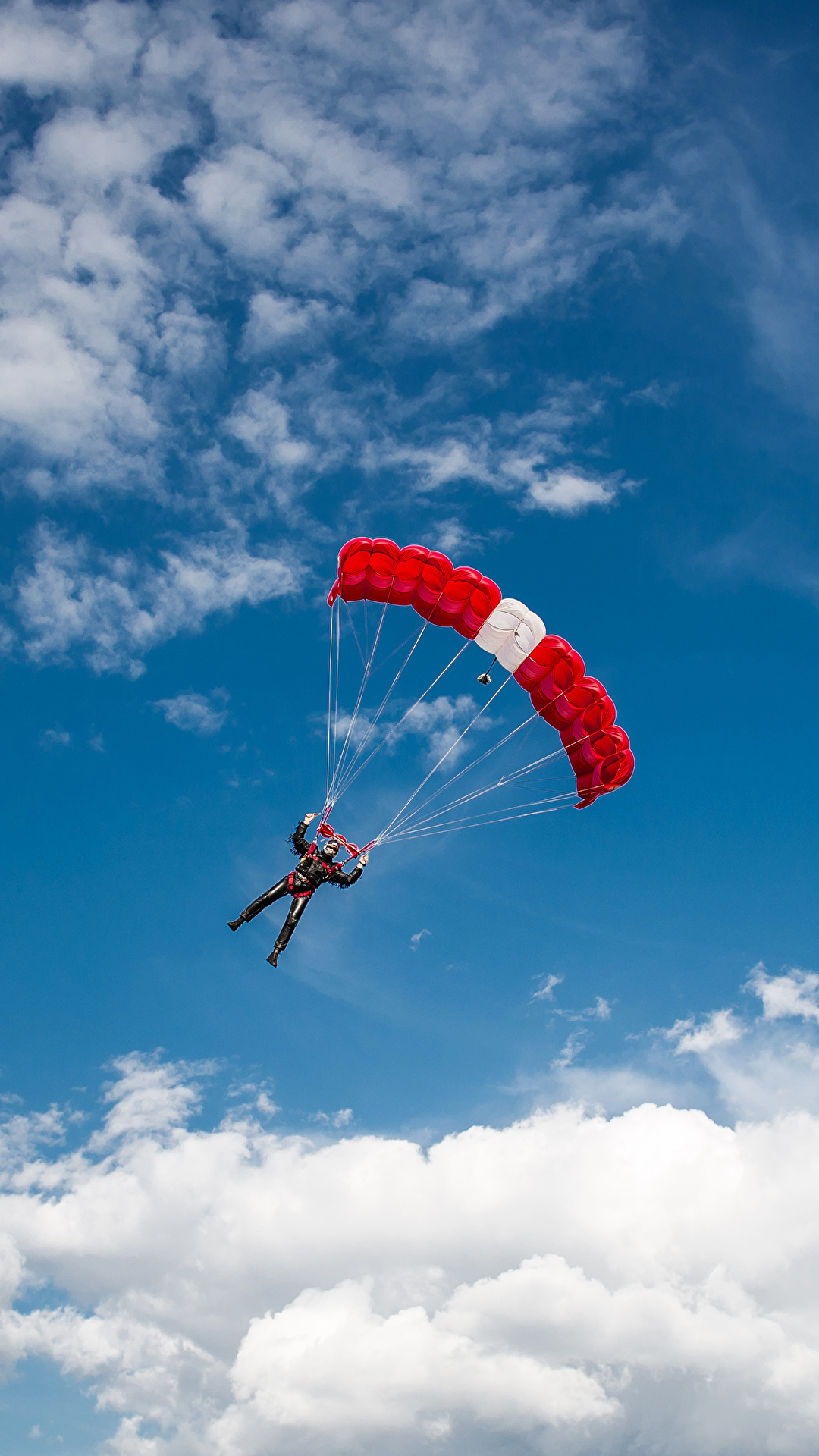 Daring skydiver becomes UK's first to hitch a ride with a wingsuit pilot  before falling - Hull Live