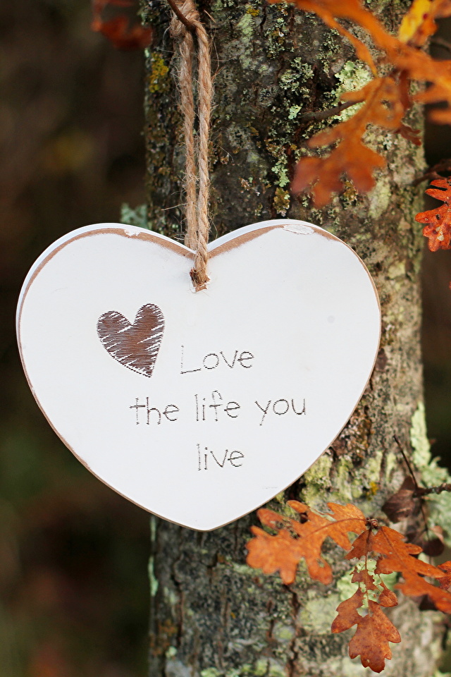 Pictures English Heart Love The Life You Live 640x960