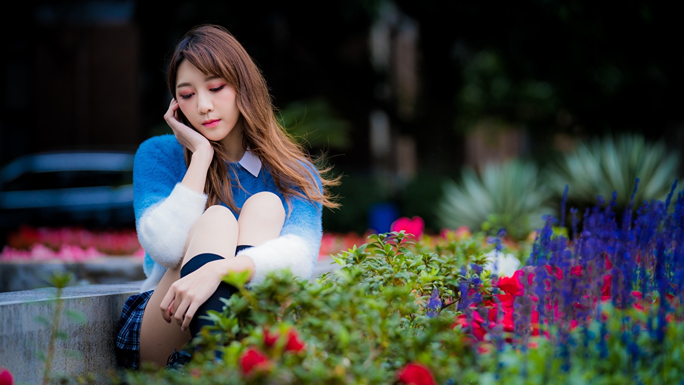 壁紙 1366x768 アジア人 公園 可愛い ボケ写真 茶色の髪の女性 座っ 少女 ダウンロード 写真