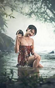 Images Asian Brook Sit Fog Wet Brunette girl Girls