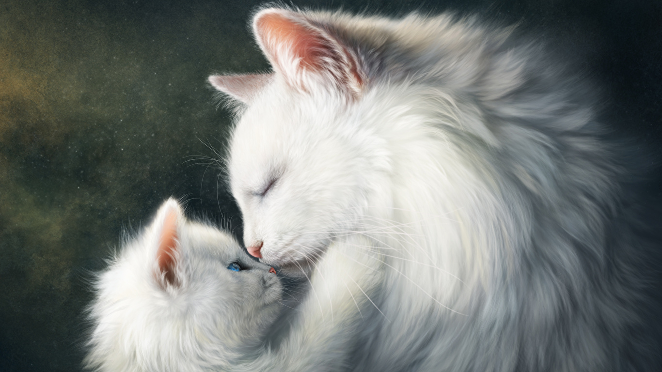 壁紙 1366x768 飼い猫 描かれた壁紙 愛 2 二つ 子猫 白 可愛い 動物 ダウンロード 写真