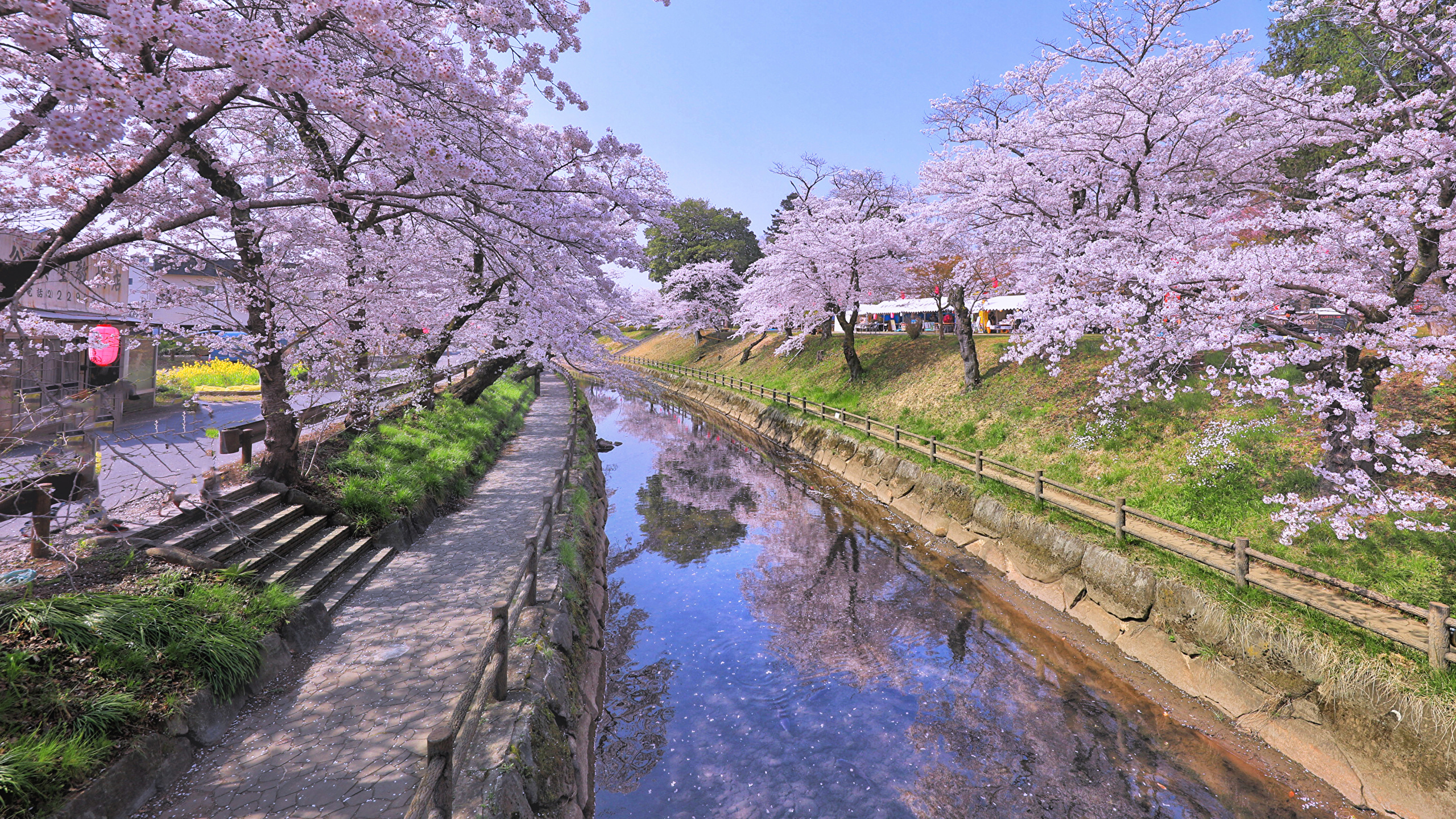壁紙 2560x1440 日本 東京都 春 花の咲く木 運河 階段 サクラ 自然 ダウンロード 写真