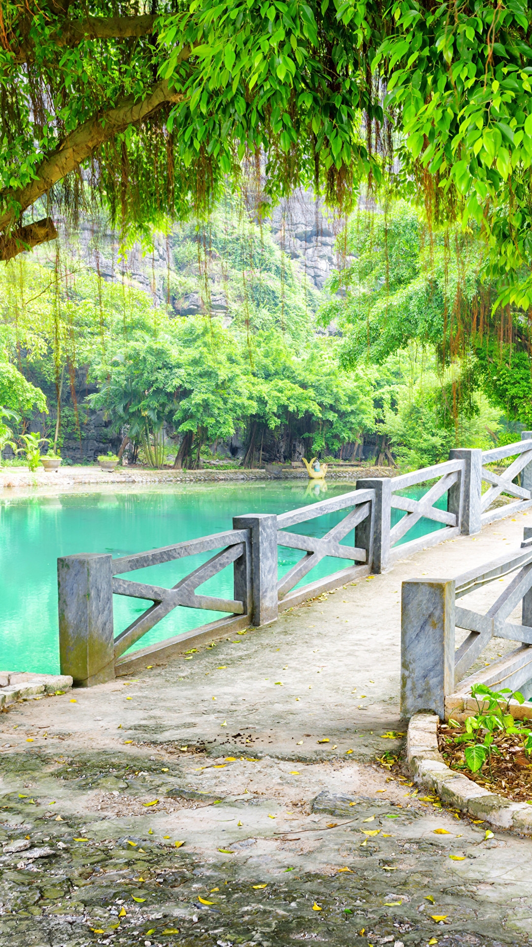 Фотографии Вьетнам Ninh Binh Province Мосты Природа Пруд 1080x1920