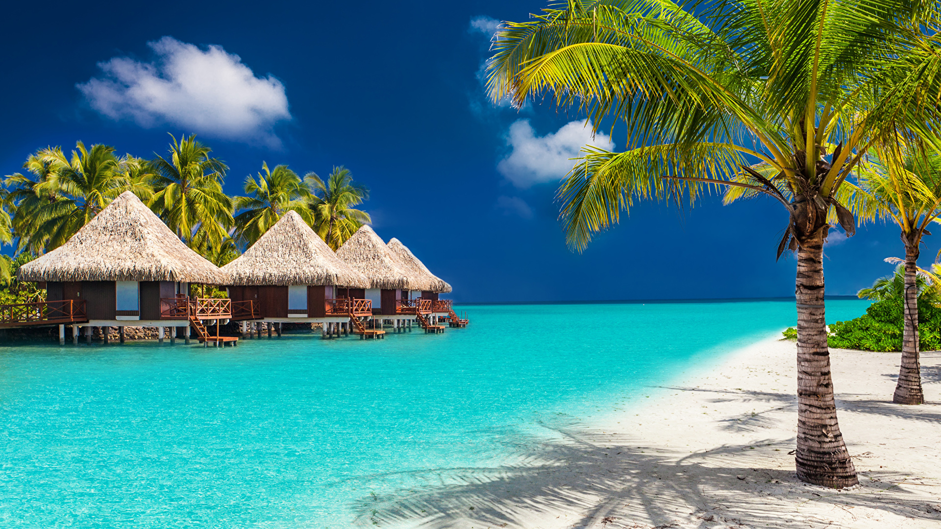 Wallpaper ID: 39550 / Maldives, 4K, 4k wallpaper, holidays, vacation,  travel, hotel, island, ocean, bungalow, beach, sky free download