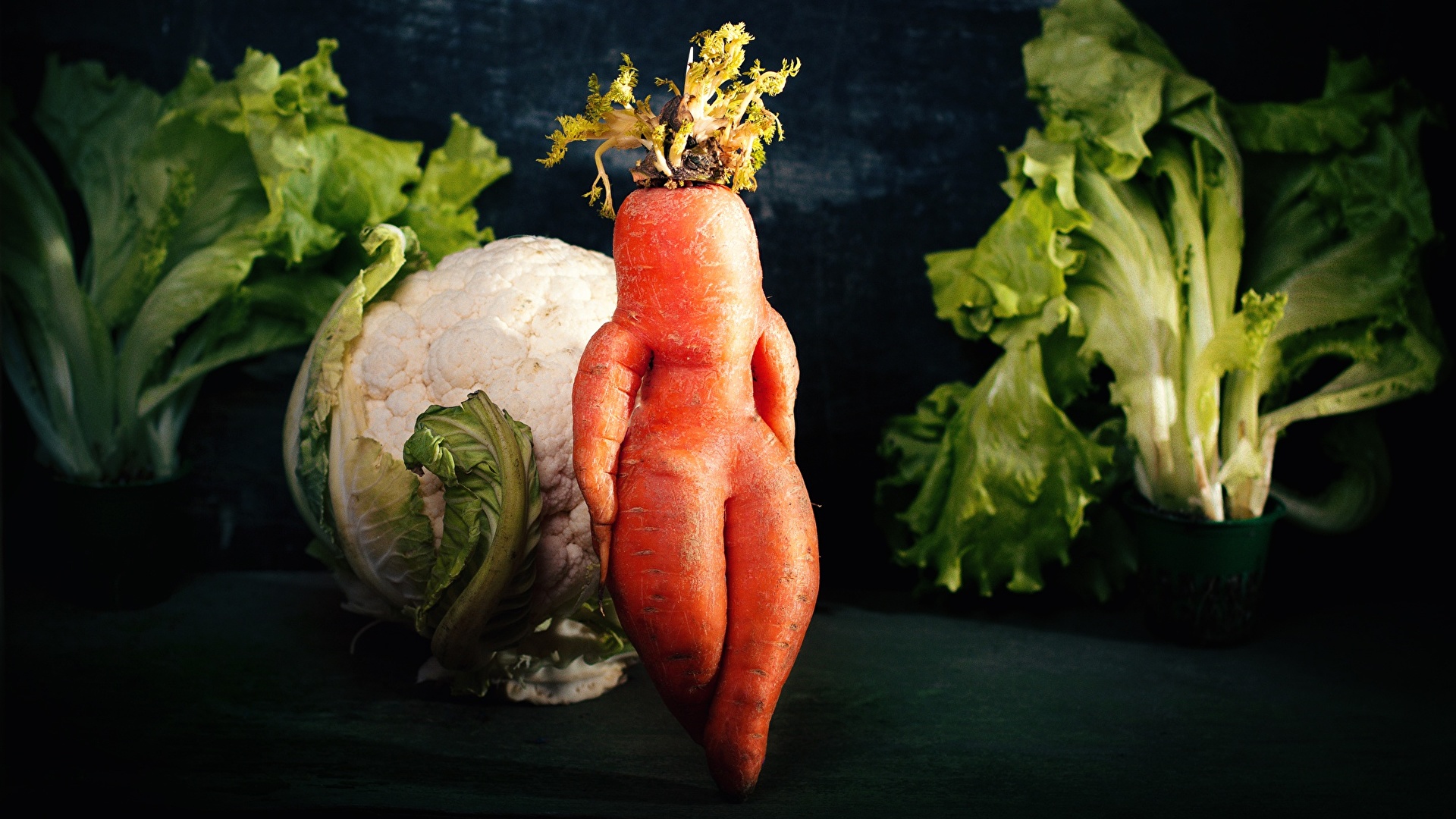 Desktop Wallpapers Funny Carrots Food Vegetables 1920x1080