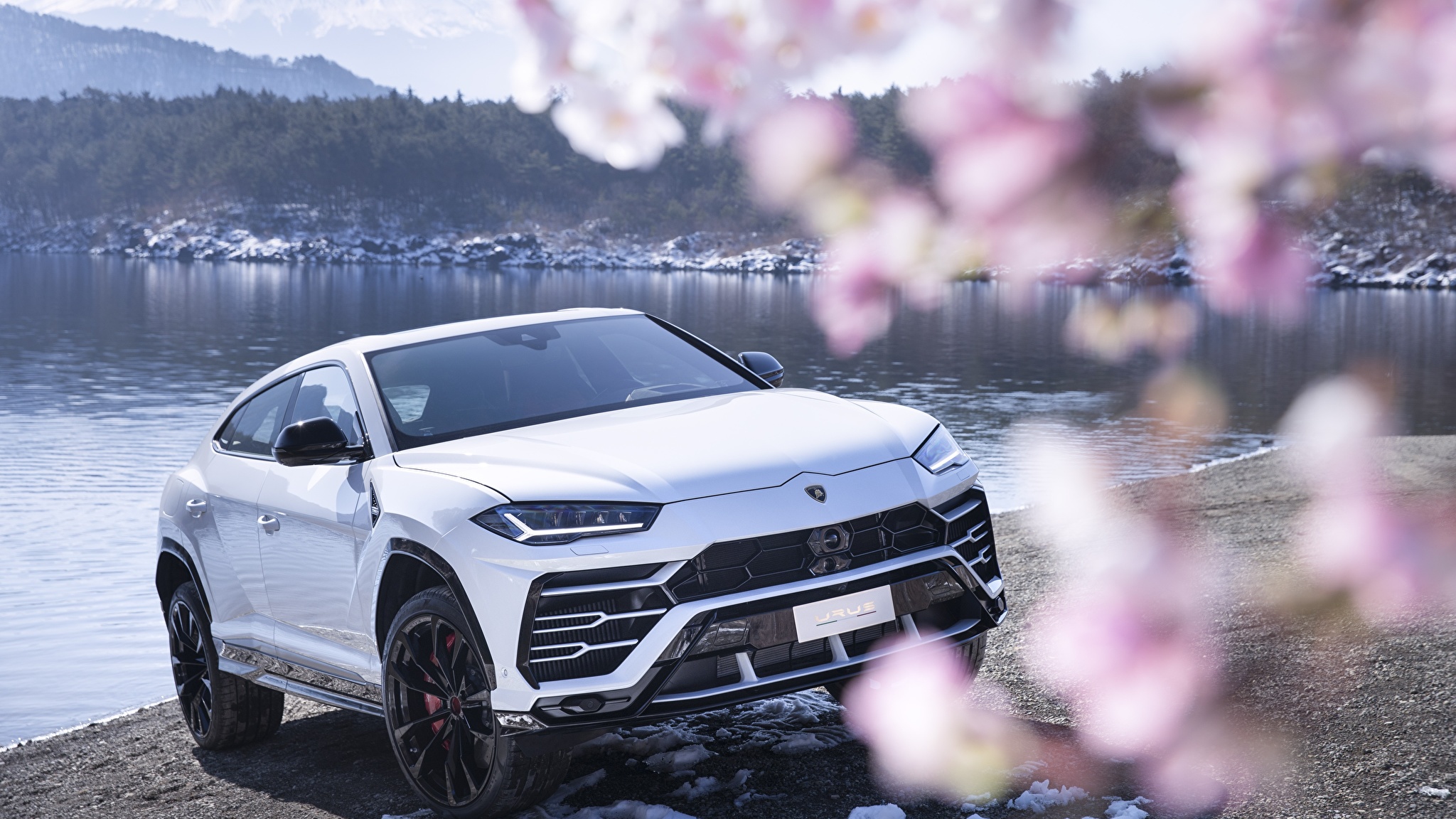 Lamborghini Urus HD