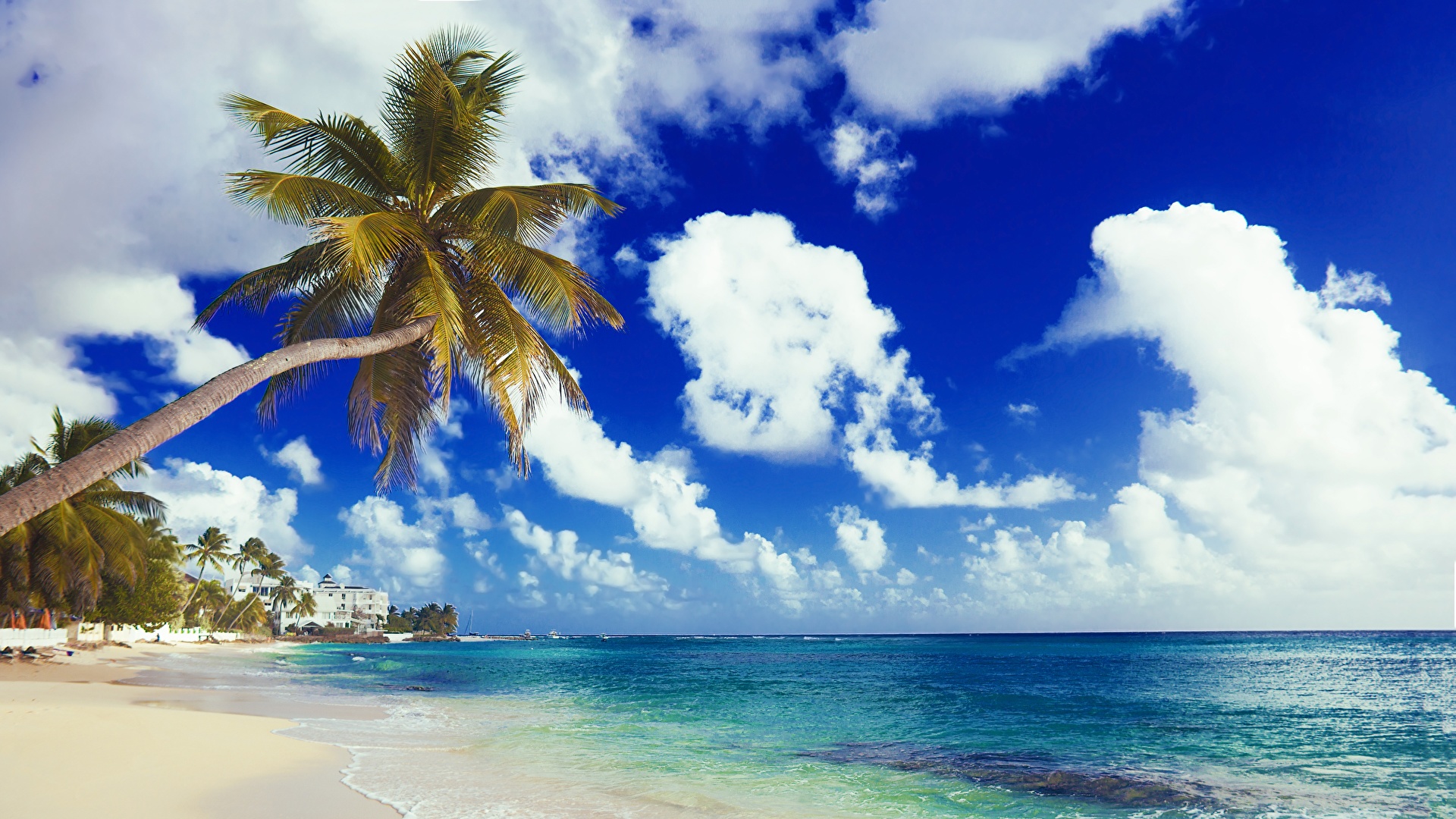 Desktop Wallpapers Beaches Sea Nature Sky Palm Trees Coast 19x1080