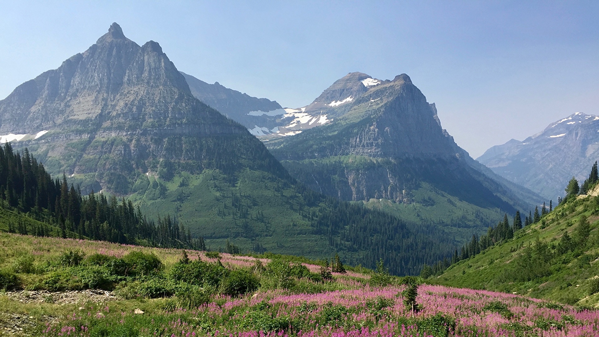 Fonds D Ecran 1920x1080 Montagnes Prairies Usa Parc Photographie