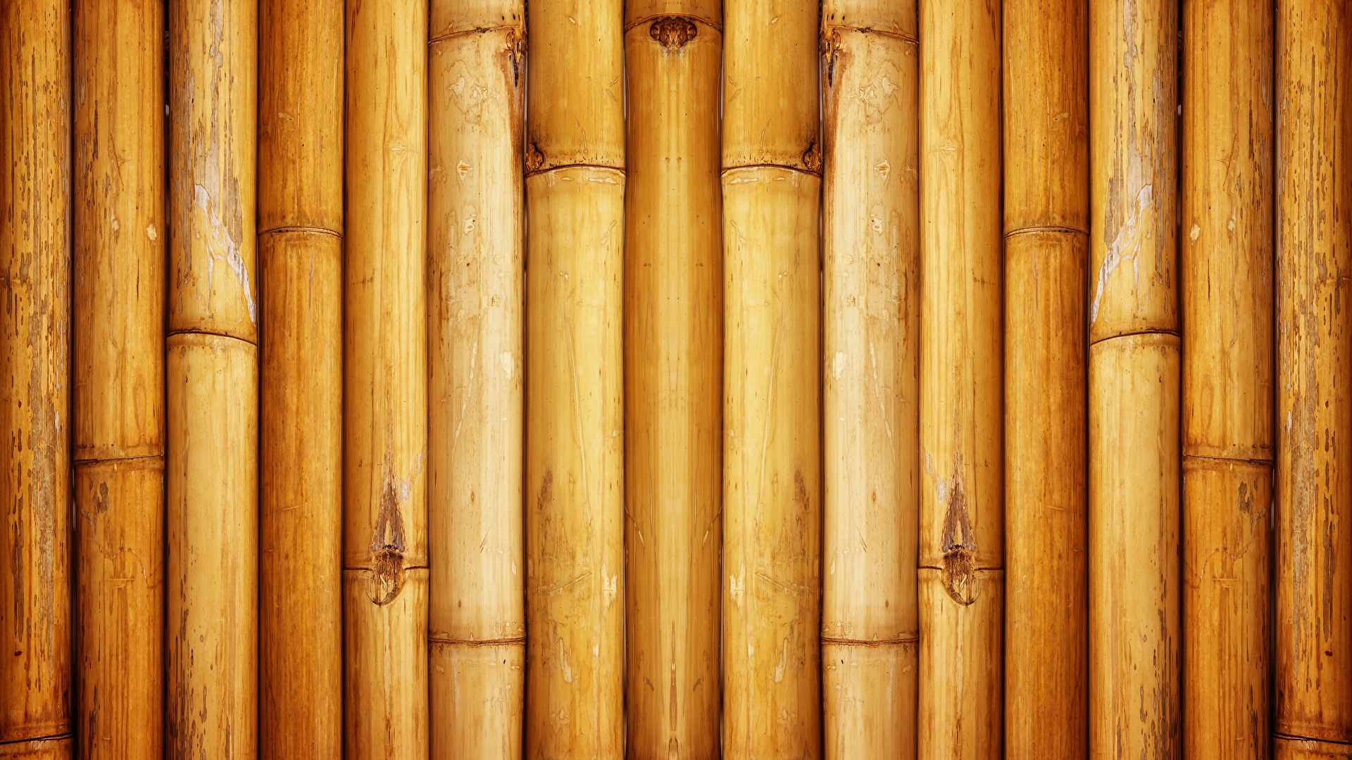 Papeis De Parede 1920x1080 Textura Bambu Baixar Imagens