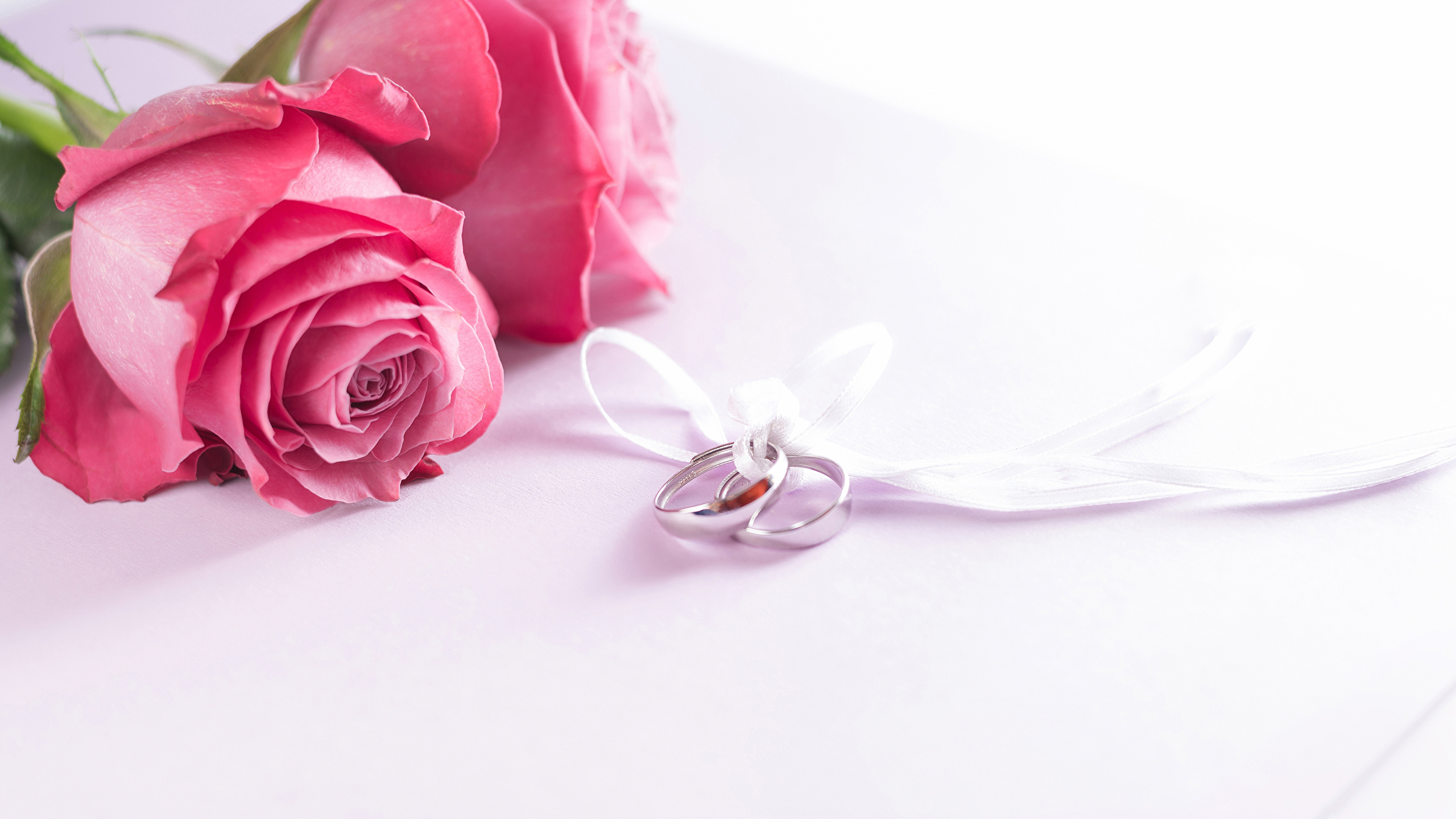 壁紙 2560x1440 バラ ピンク 指輪 2 二つ 結婚式 花 ダウンロード 写真