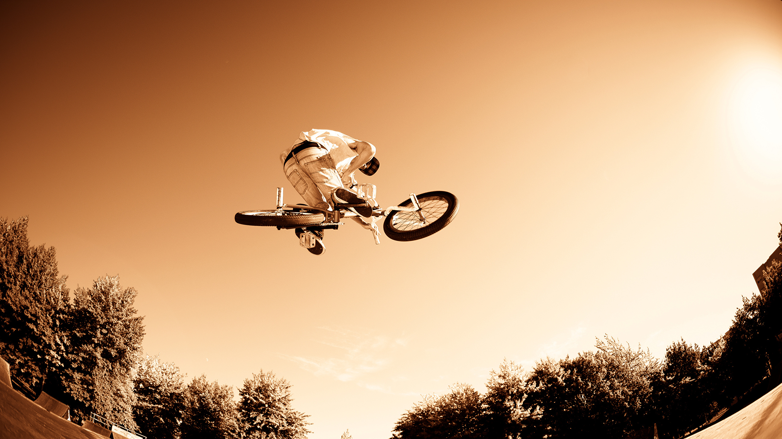 壁紙 2560x1440 男性 自転車 飛び スポーツ ダウンロード 写真