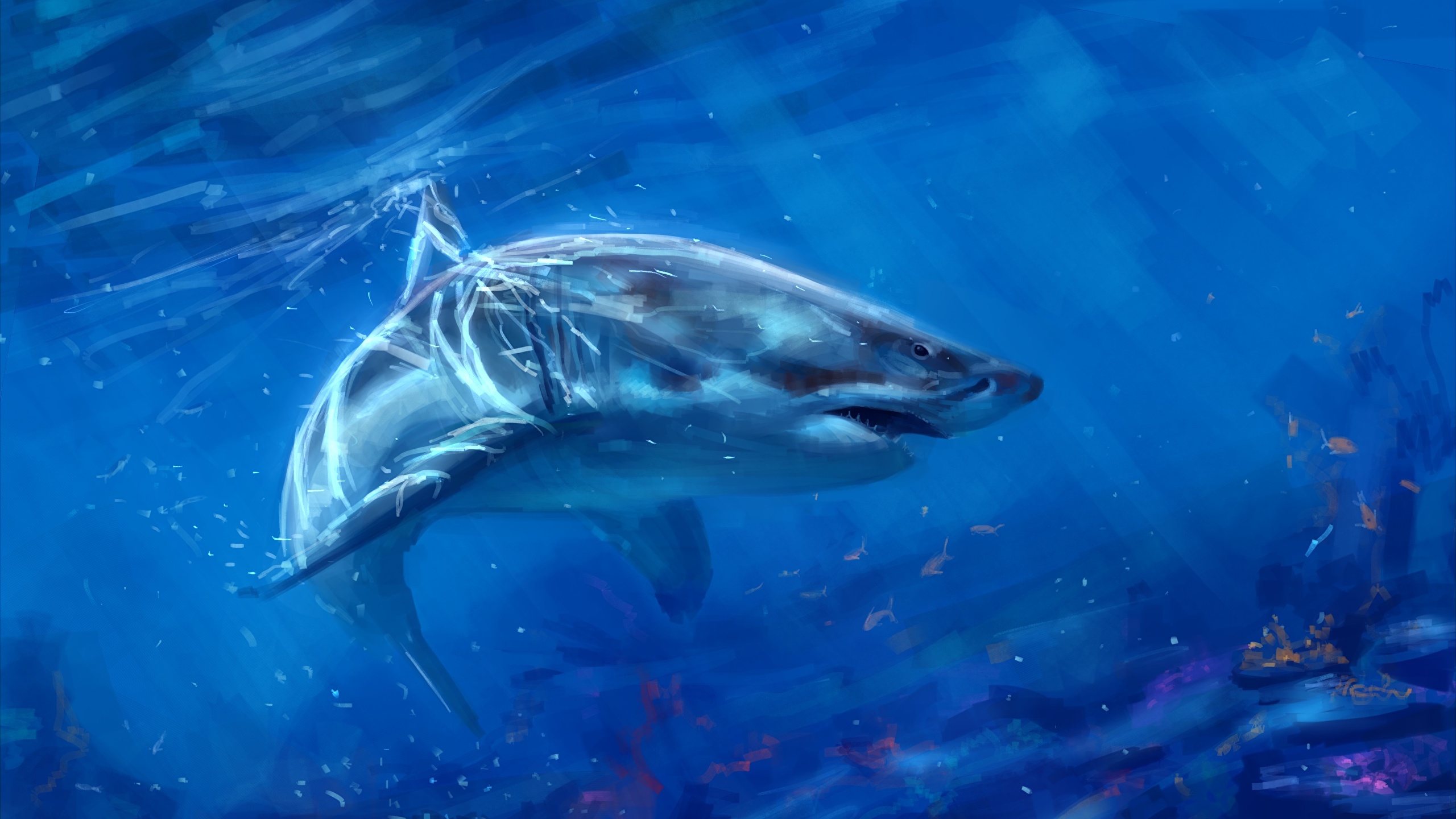 壁紙 2560x1440 アンダーウォーターワールド 描かれた壁紙 サメ 動物 ダウンロード 写真