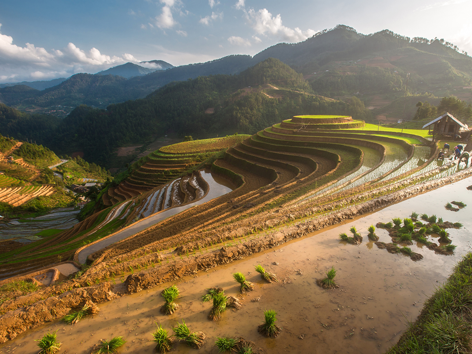 Image Vietnam Mu Cang Chai Nature mountain Fields 1600x1200