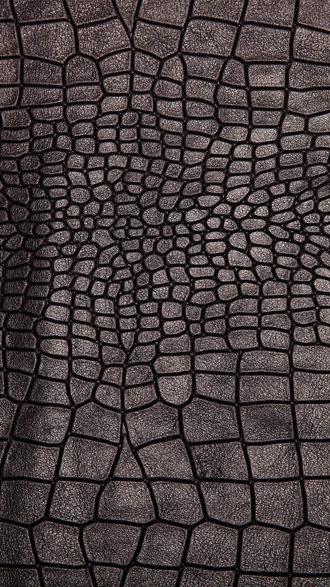 Photos Leather Crocodiles Texture 1080x1920