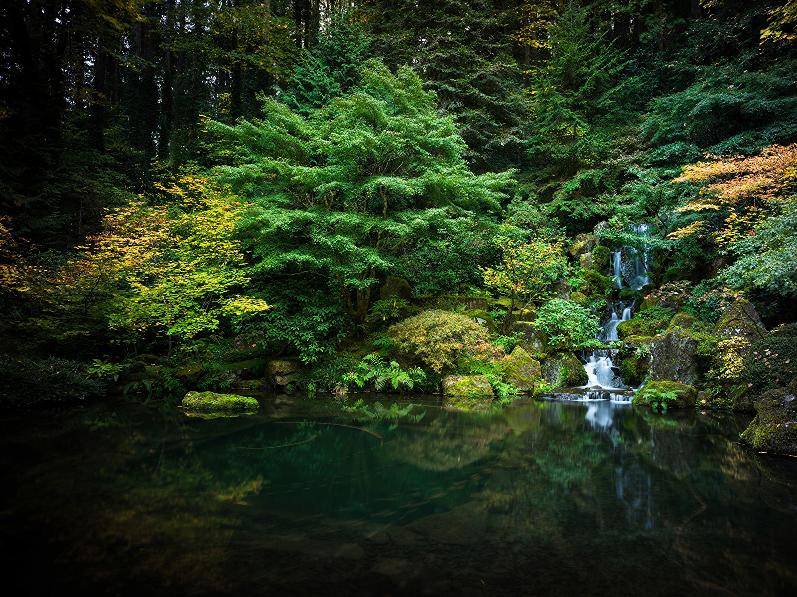 Foto Usa Portland Japanese Garden Natur Wasserfall Teich 1600x1200