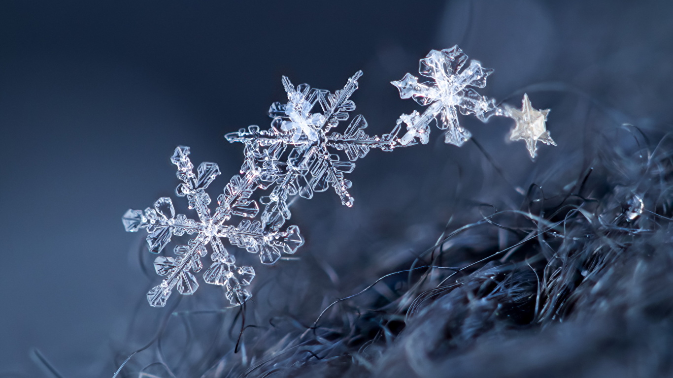 壁紙 1366x768 接写 雪の結晶 ダウンロード 写真