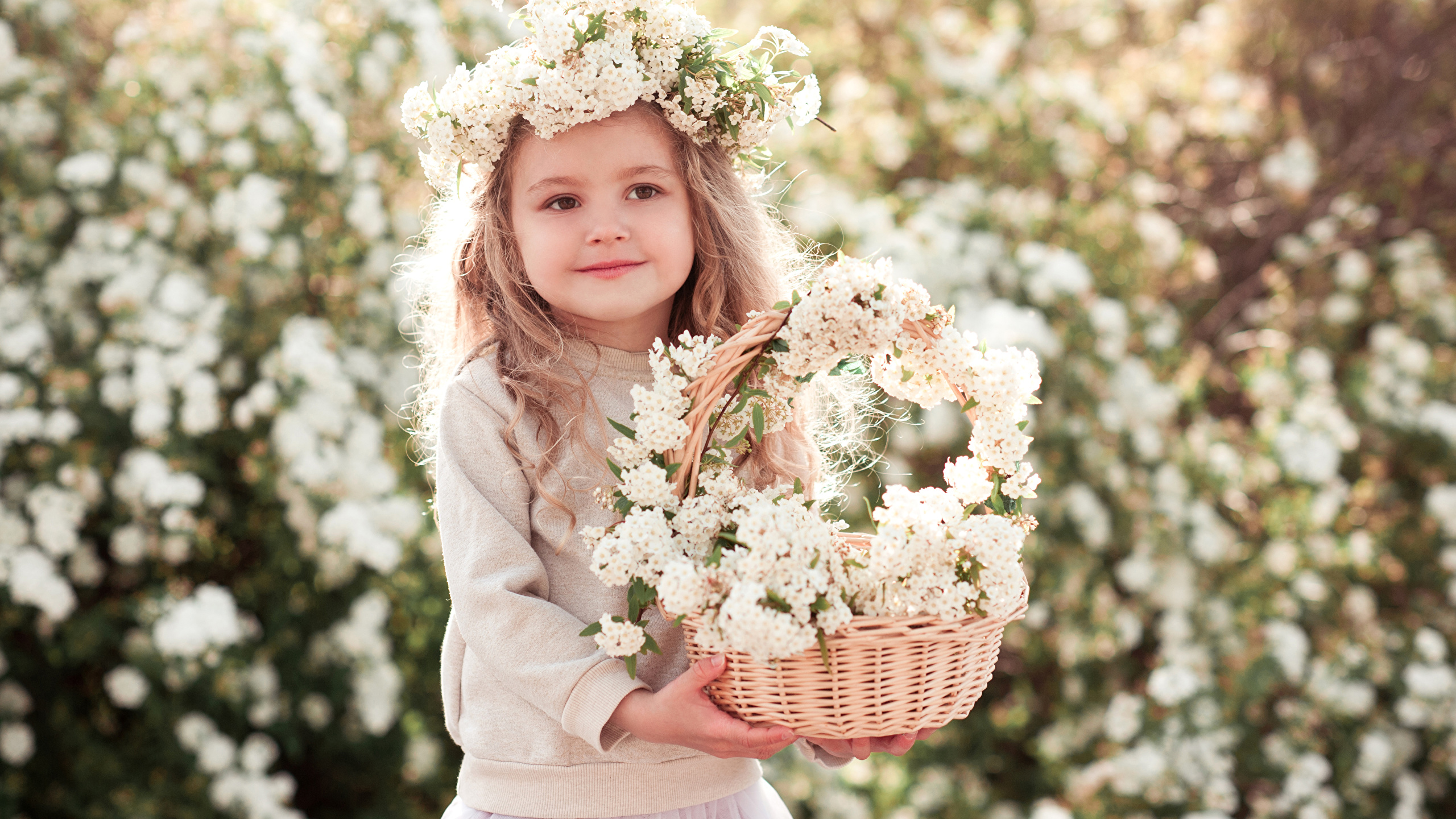 壁紙 2560x1440 花の咲く木 小さな女の子 籠 可愛い 美しい 子供 ダウンロード 写真
