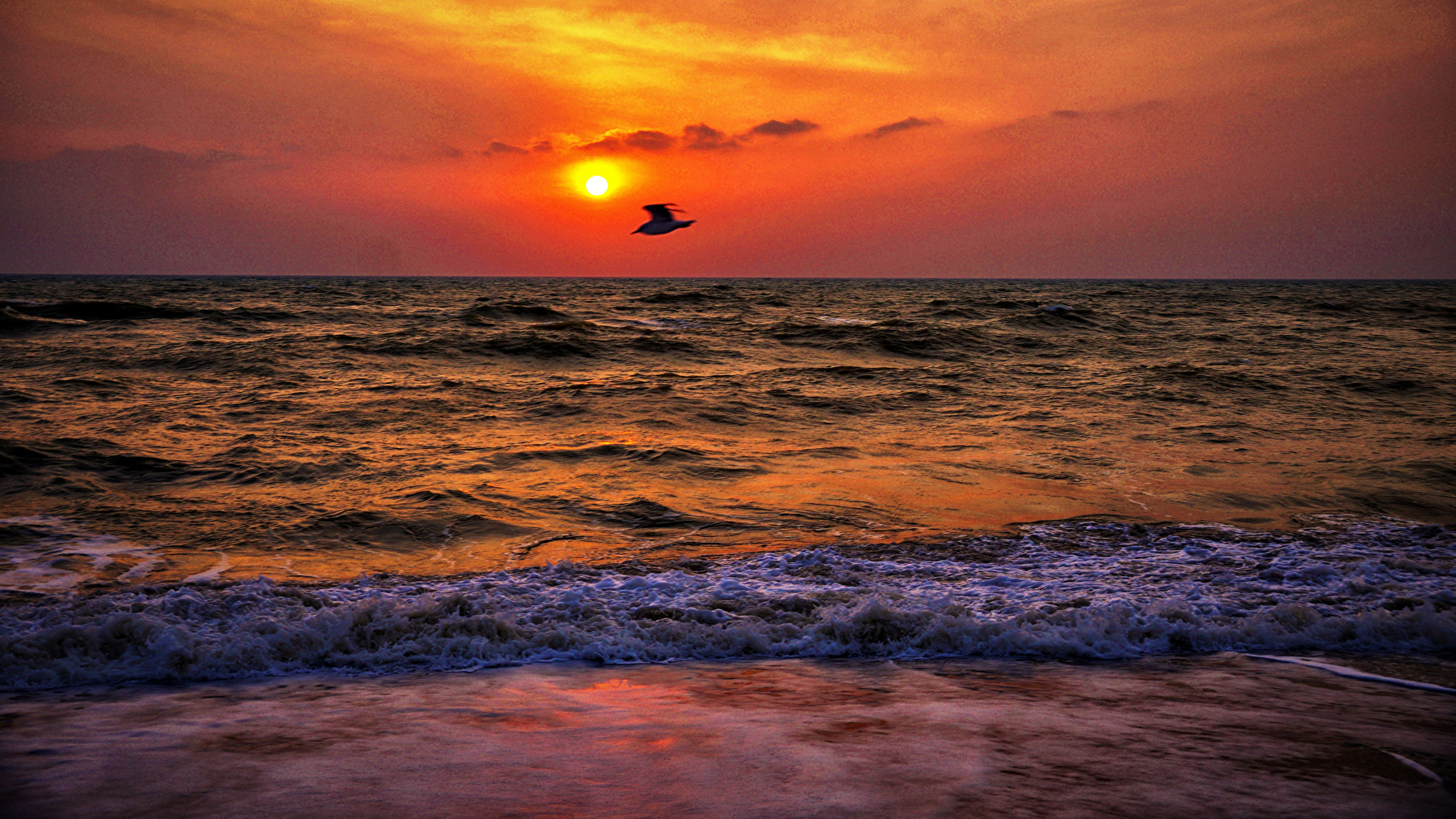 Fonds Decran 1920x1080 Levers Et Couchers De Soleil Mer Oiseau Vagues Nature Télécharger Photo 4237