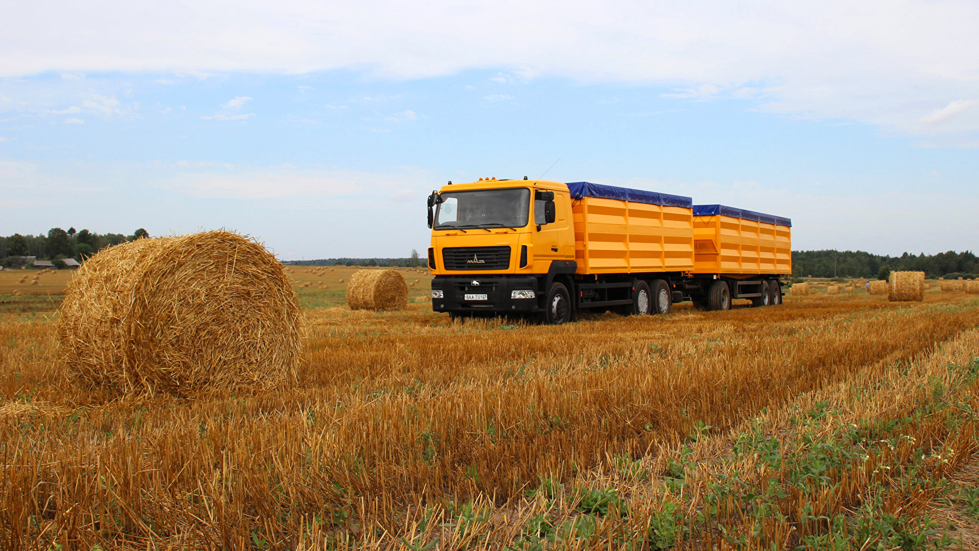 Картинки Грузовики 2015-18 MAZ-6501A8-325-000 Kolos Поля 1920x1080