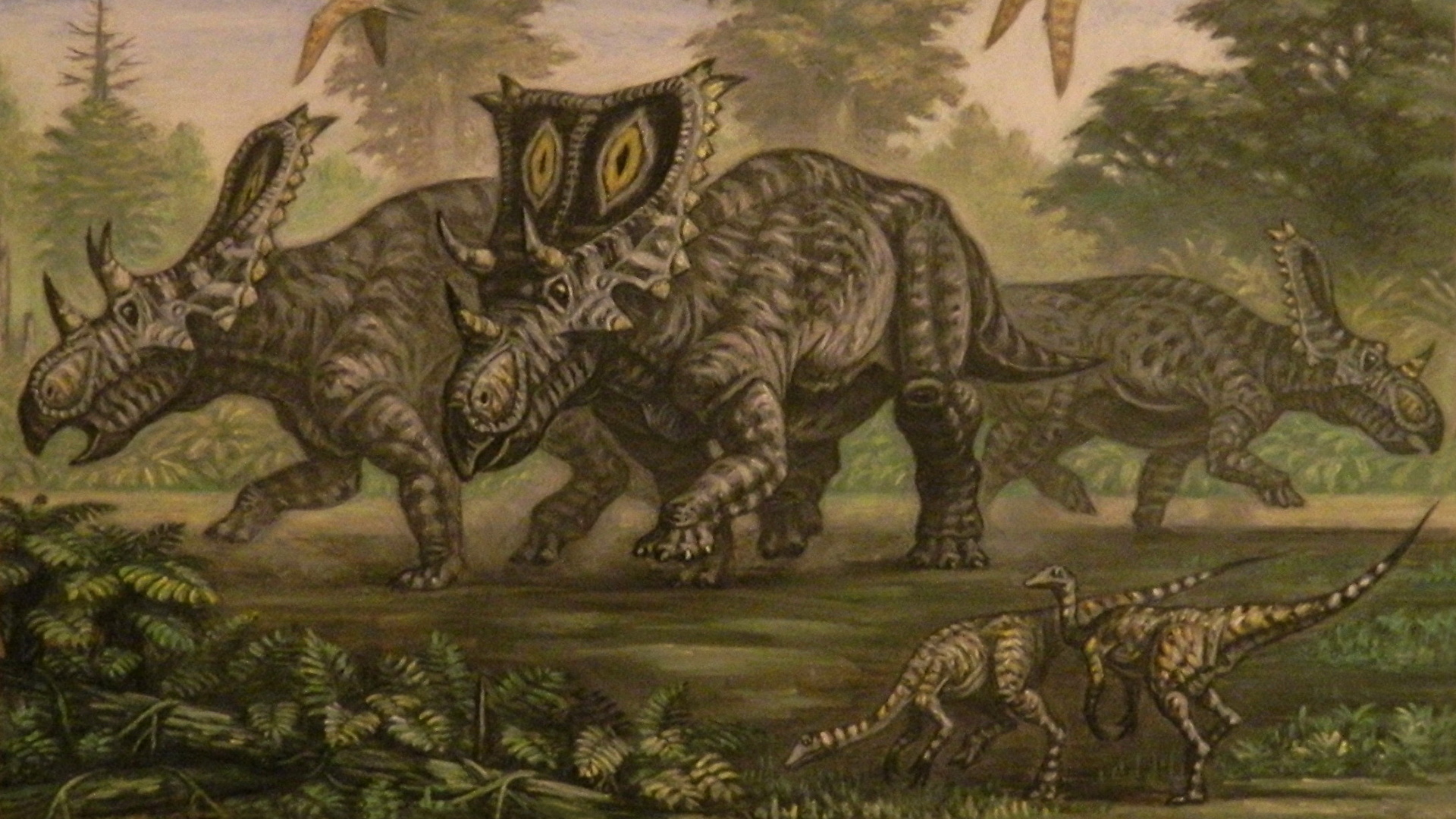壁紙 1920x1080 古代の動物 恐竜 描かれた壁紙 Chasmosaurus Young Ornithomimus 動物 ダウンロード 写真