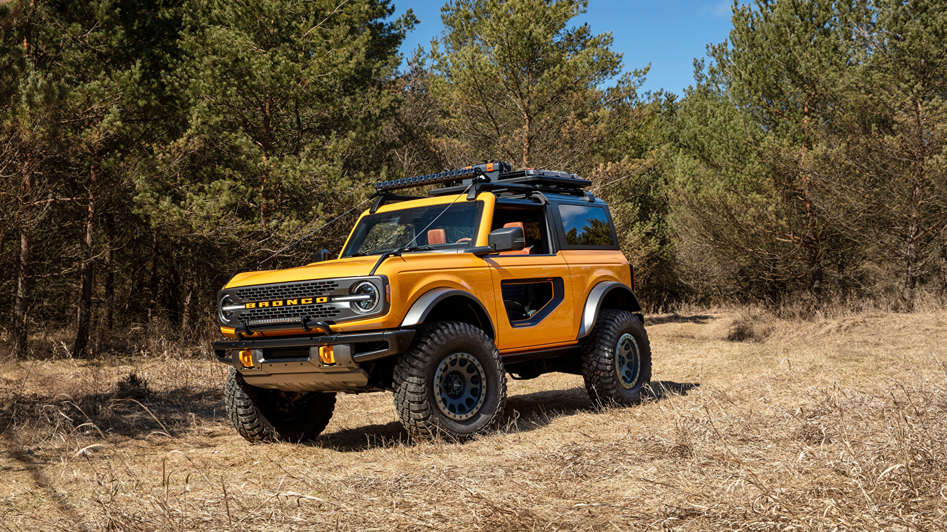 Картинки Ford Внедорожник Bronco 2, Door Preproduction, 1920x1080