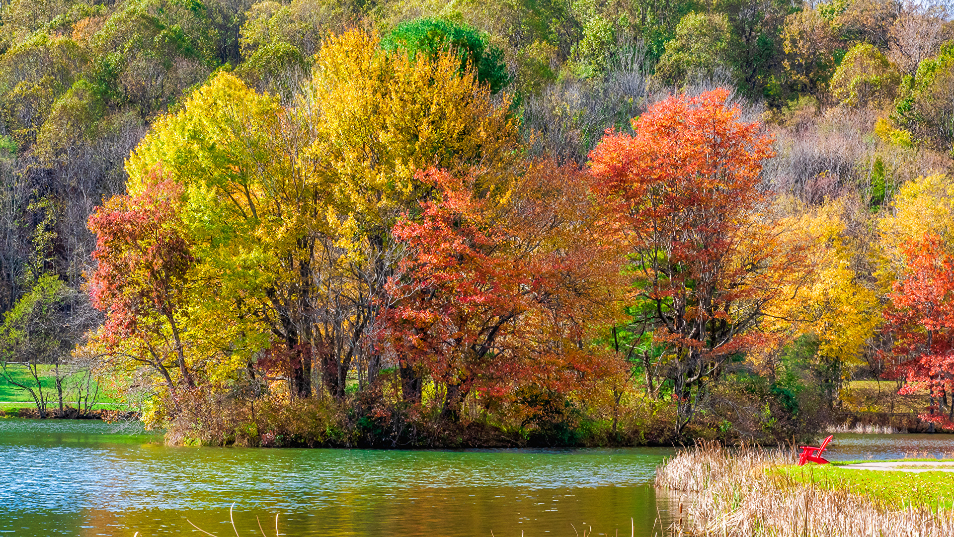 壁紙 19x1080 アメリカ合衆国 公園 秋 川 Blue Ridge Parkway Virginia 木 自然 ダウンロード 写真