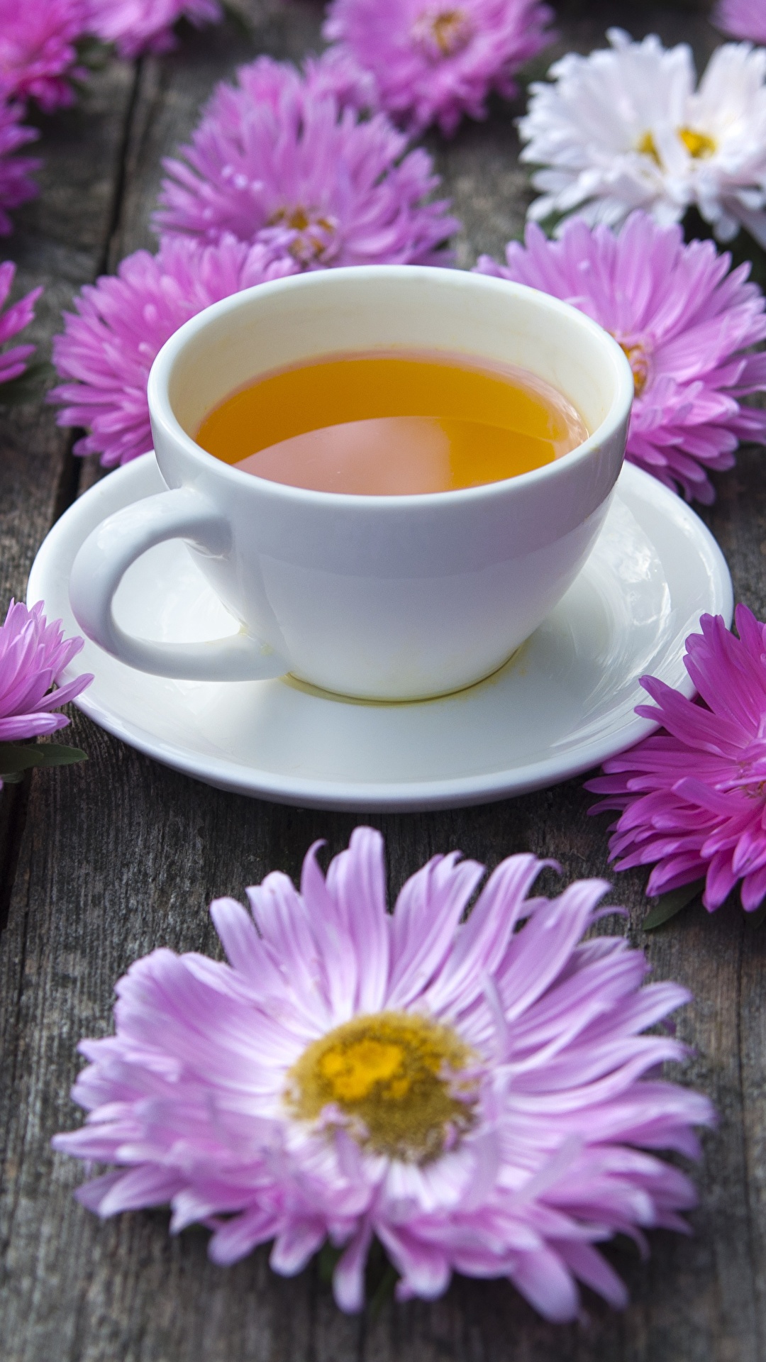 Images Tea Asters Flower Cup 1080x19