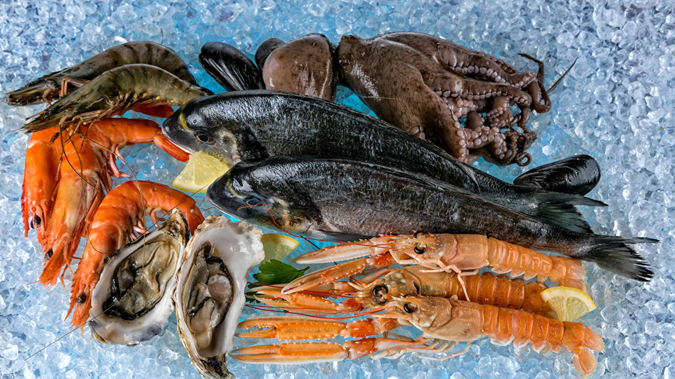 壁紙 1366x768 魚介類 魚料理 エビ 氷 食品 ダウンロード 写真