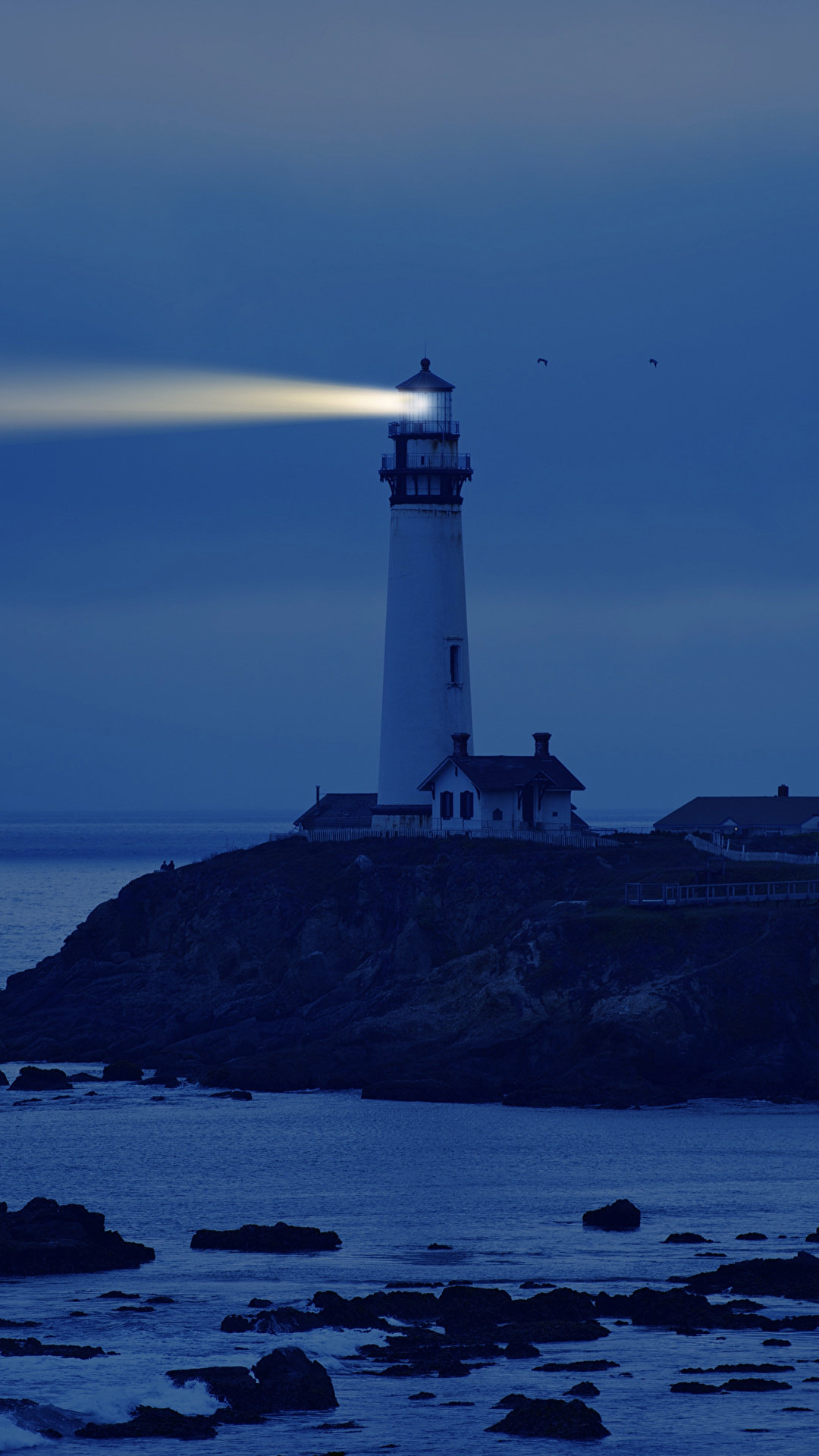 壁紙 1080x19 アメリカ合衆国 海岸 灯台 カリフォルニア州 夜 自然 ダウンロード 写真