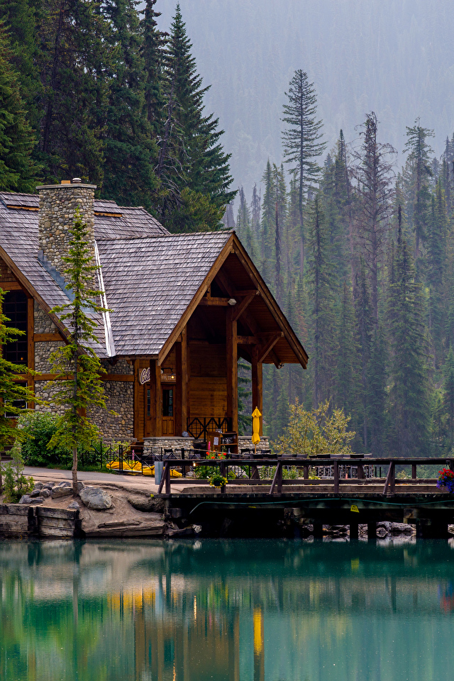 Wallpaper Canada Emerald Lake Nature Spruce Bridges Parks 640x960