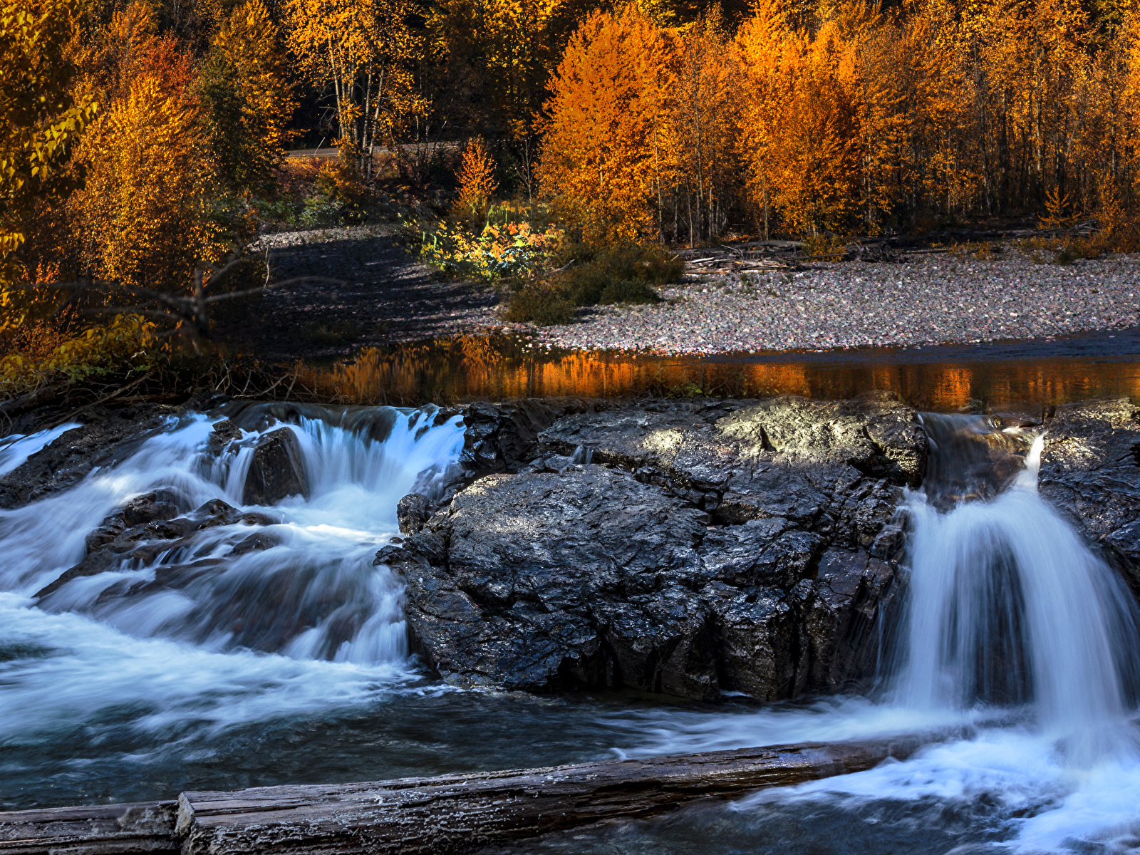 Picture USA Middle Fork River Autumn Nature Wood log 1600x1200