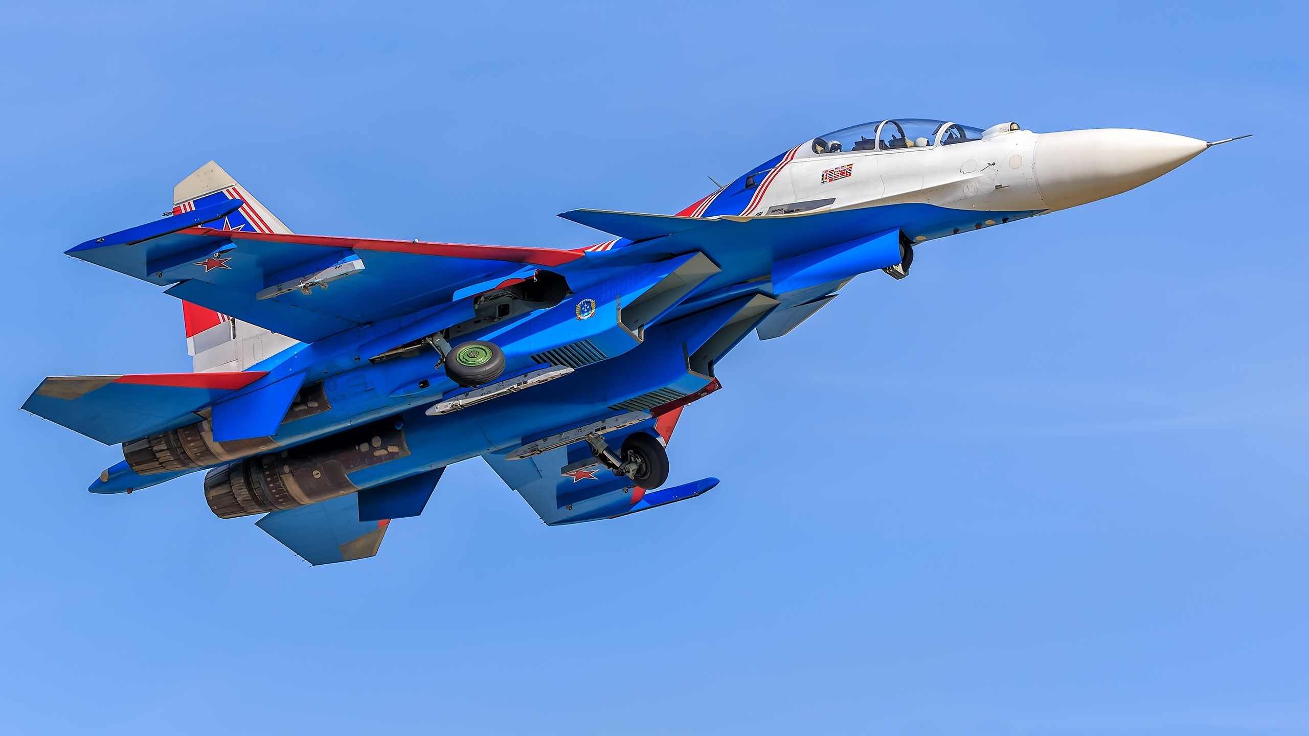 壁紙 2560x1440 飛行機 戦闘機 Su 30 航空機 Su 30sm 飛翔 ロシアの 航空 ダウンロード 写真