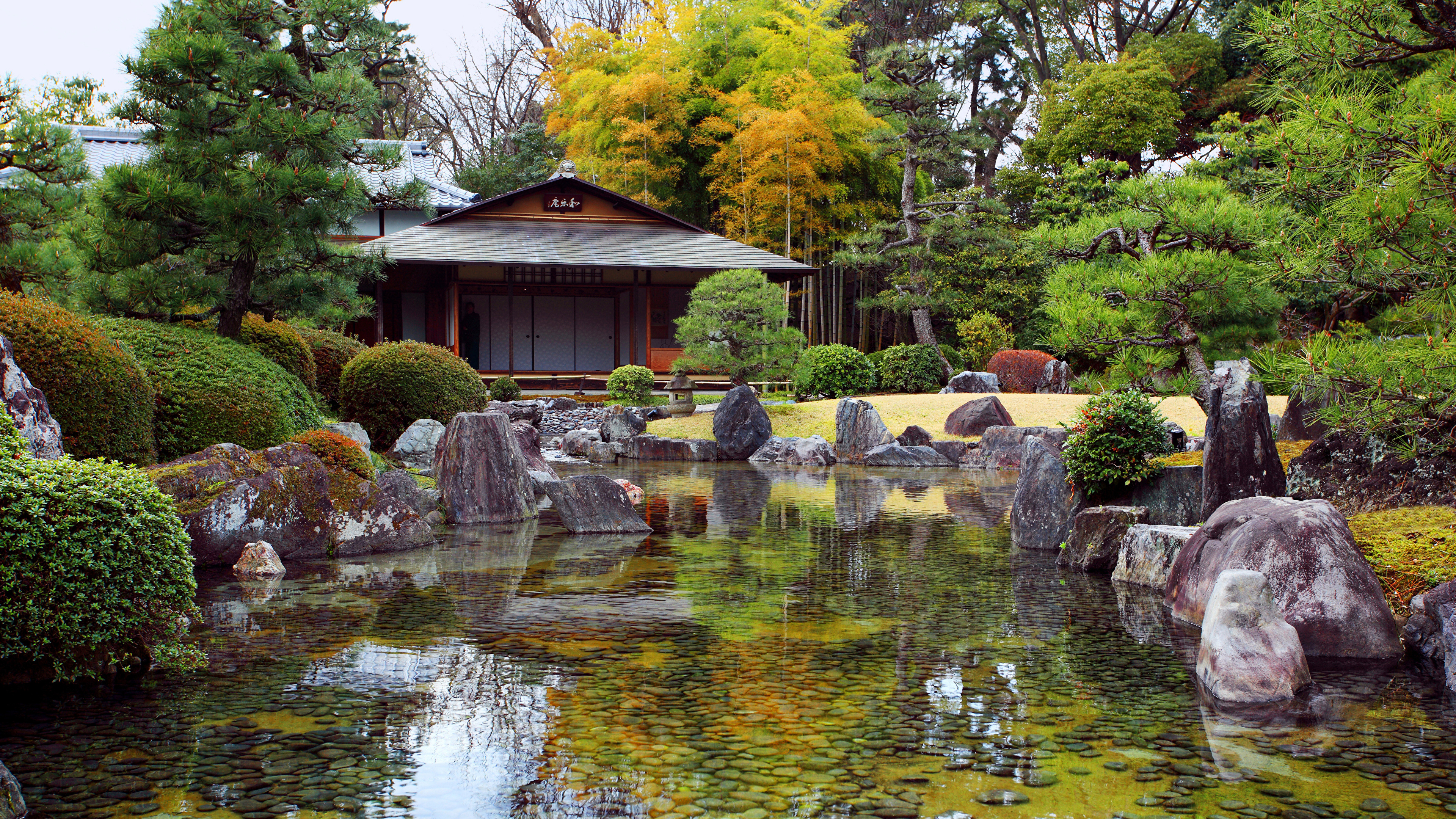 壁紙 3840x2160 日本 ガーデン 池 石 低木 トウヒ属 自然 ダウンロード 写真