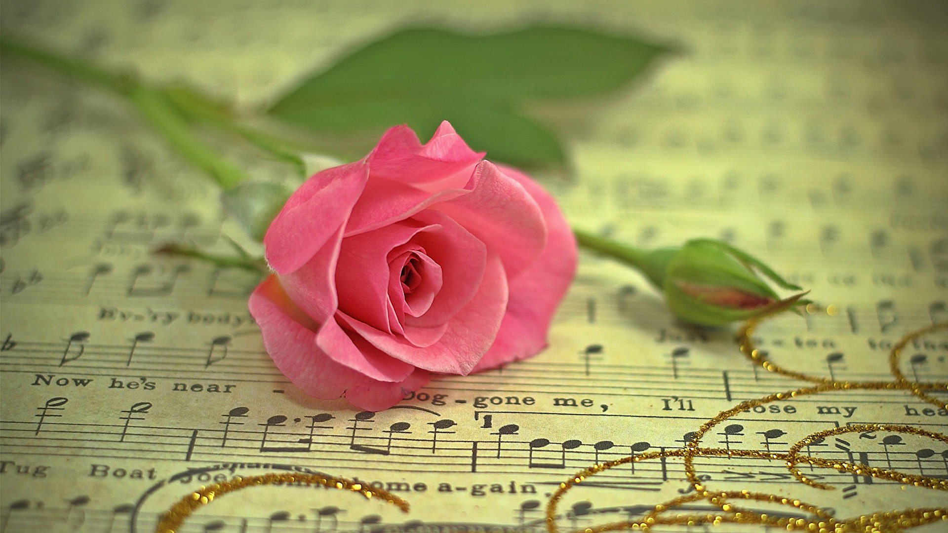 Fonds D Ecran 1920x1080 Note De Musique Roses Rose Couleur