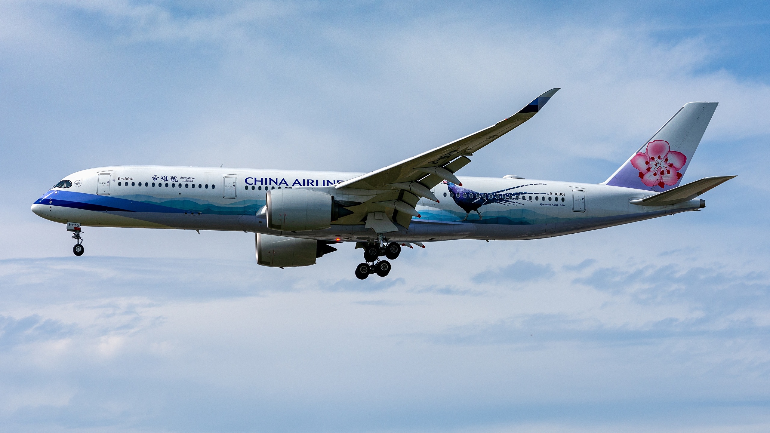 Photos Airbus Passenger Airplanes A350 900 China Airlines 2560x1440 Images, Photos, Reviews