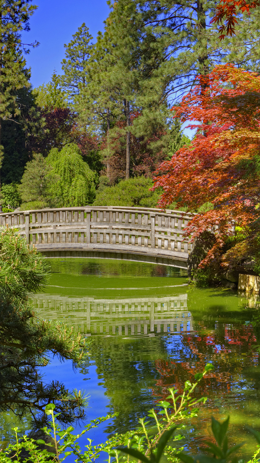 Фото Вашингтон штаты Spokane Japanese Garden Ель мост 1080x1920