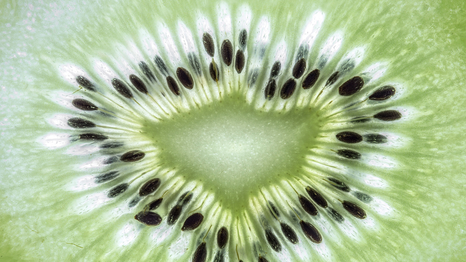 Pictures Kiwifruit Macro photography Food Closeup 1920x1080