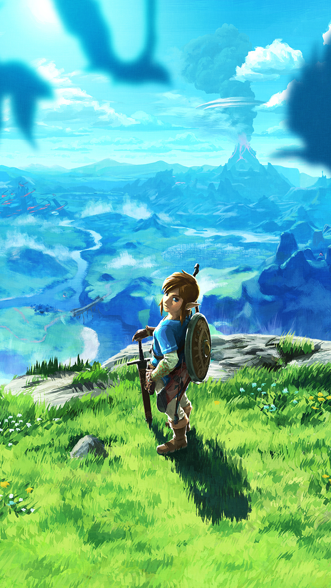 Image The Legend Of Zelda Warrior Breath Of The Wild 1080x1920