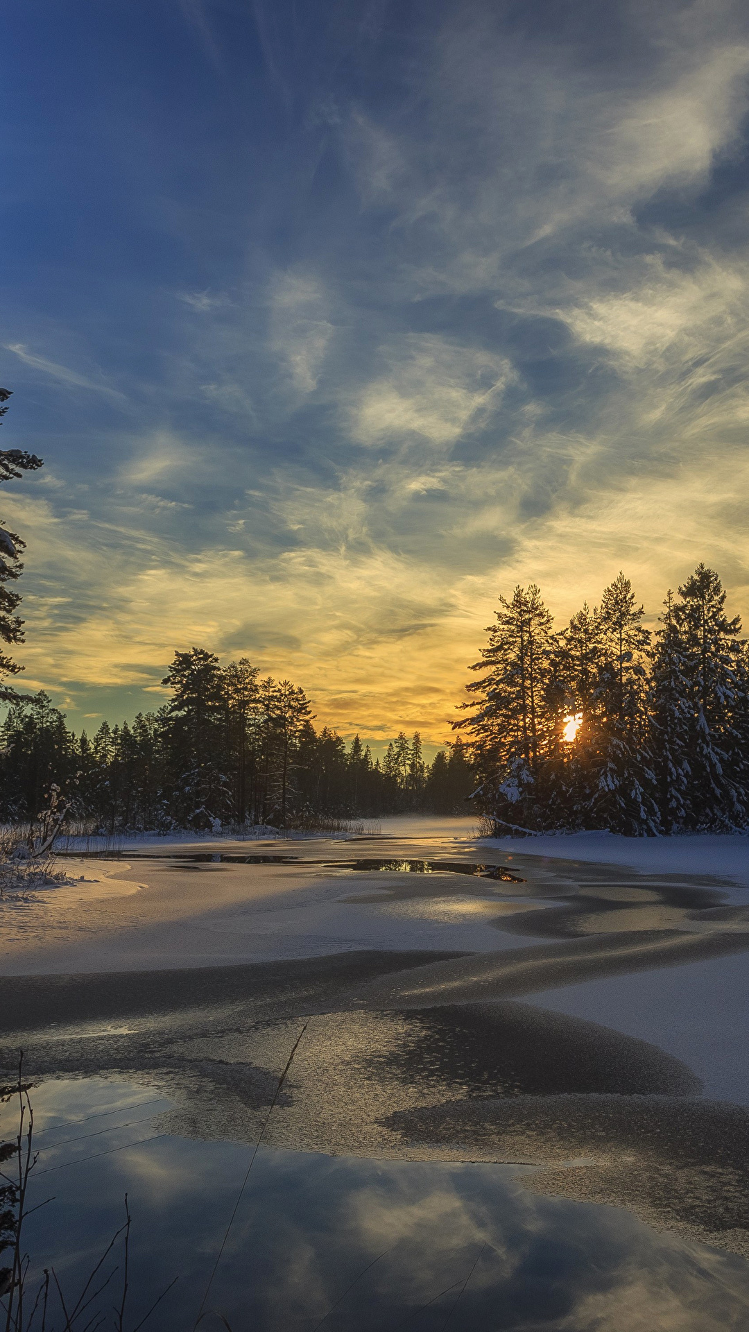 Picture Sweden Arvika Winter Spruce Nature Sky Snow 1080x1920