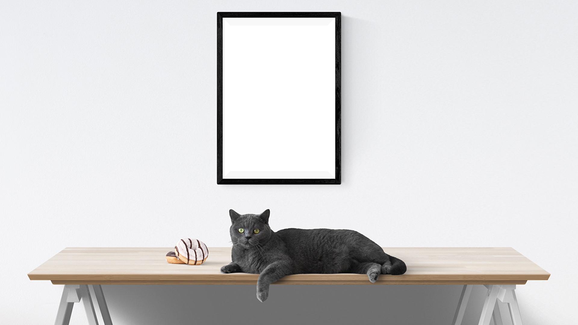 壁紙 19x1080 飼い猫 壁 テーブル グレーの背景 動物 ダウンロード 写真