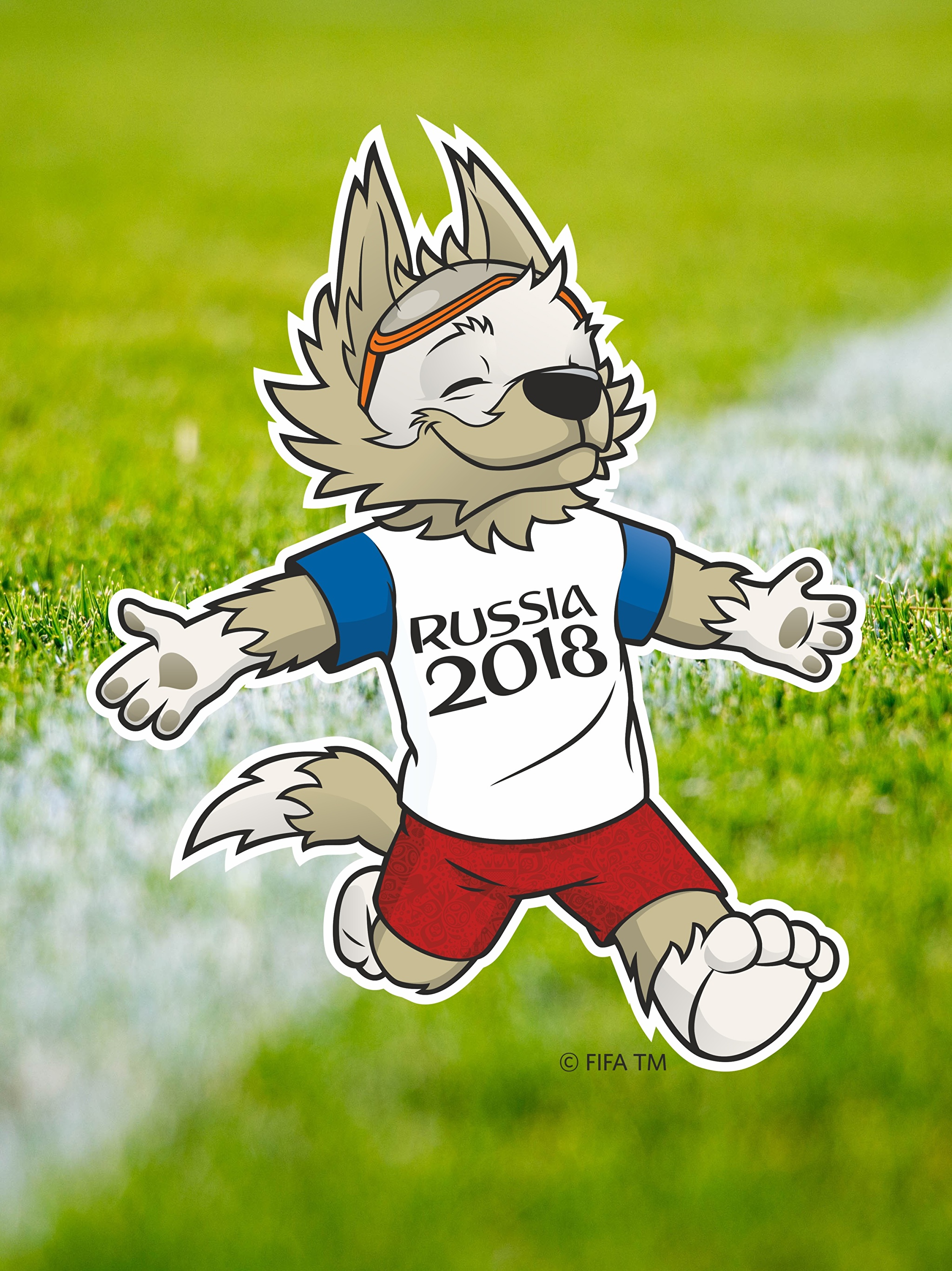 Забивака. Маскот ЧМ по футболу 2018. Волк 2018 FIFA Russia. World Cup 2018 волк. ФИФА 2018 картинки.