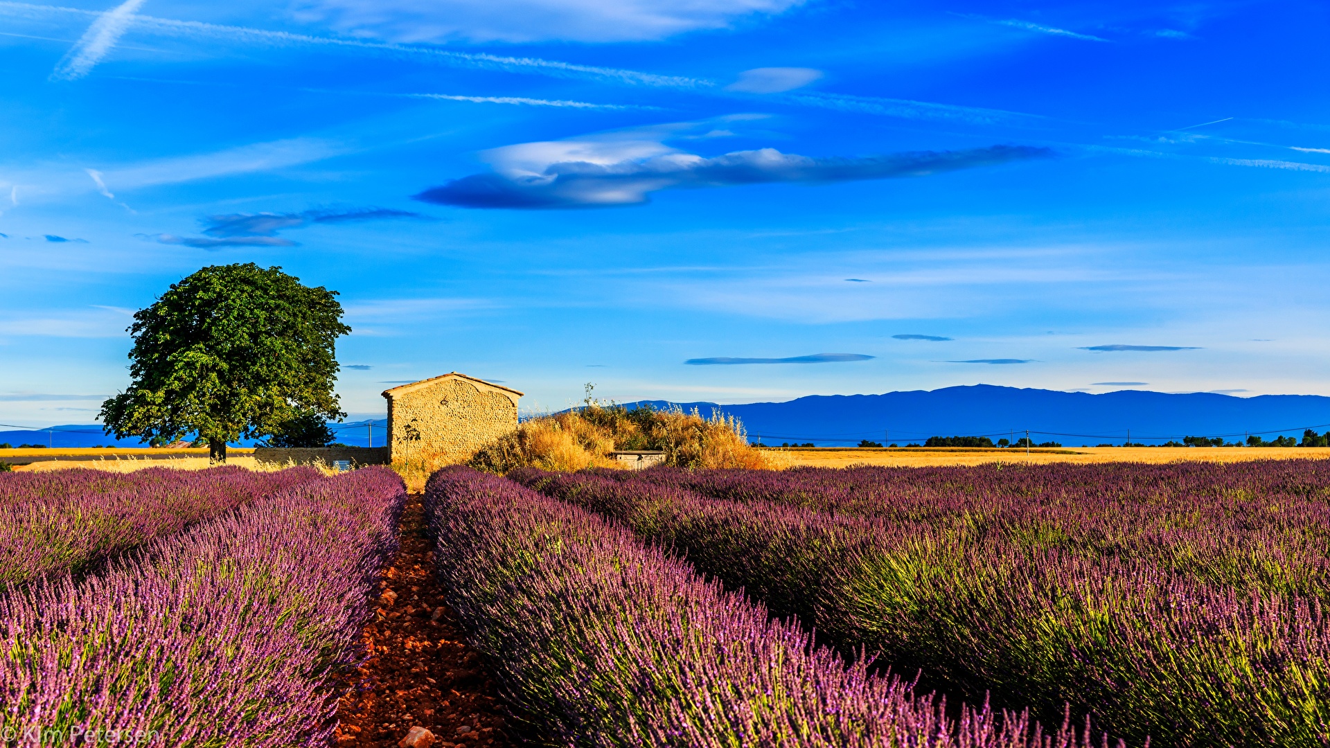 pictures-provence-france-nature-sky-fields-lavender-1920x1080