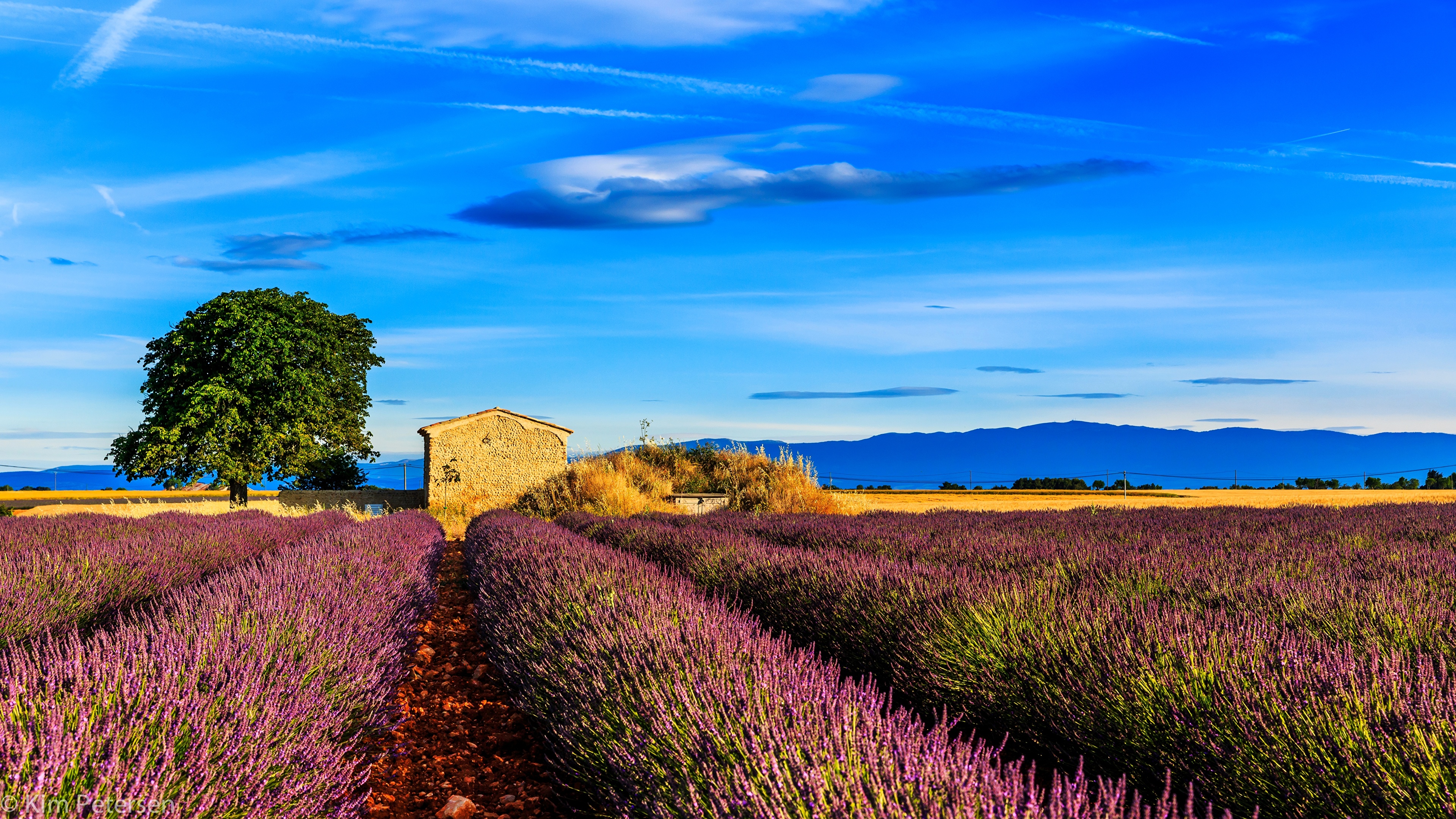 mørkere New Zealand ledsage Pictures Provence France Nature Sky Fields lavender 3840x2160
