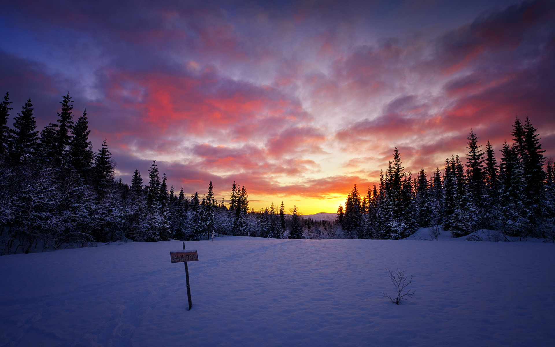 Picture Winter Nature Sky Snow forest Sunrises and sunsets 1920x1200