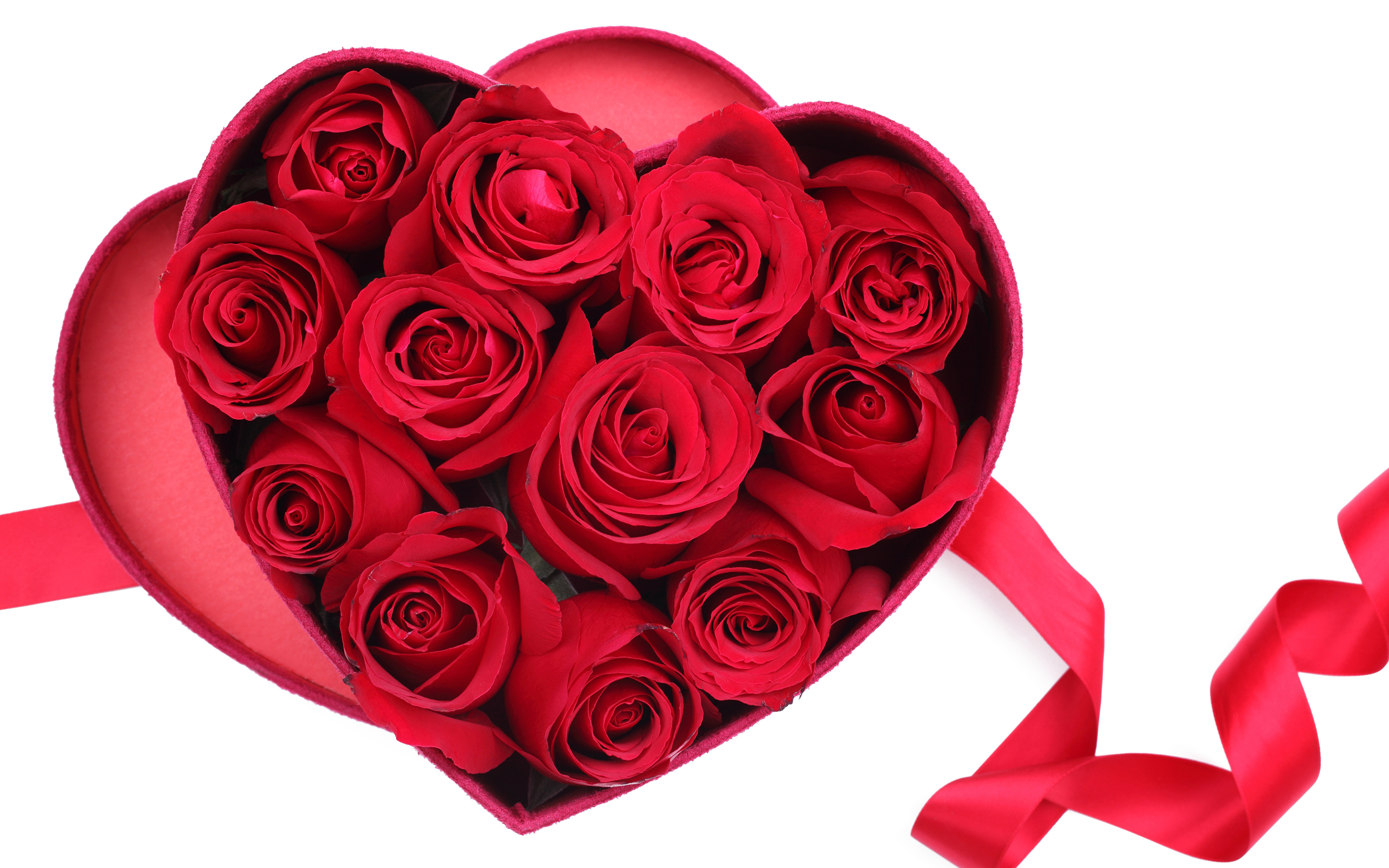 Pictures Valentines Day Heart Red Roses Box Flowers 3840x2400