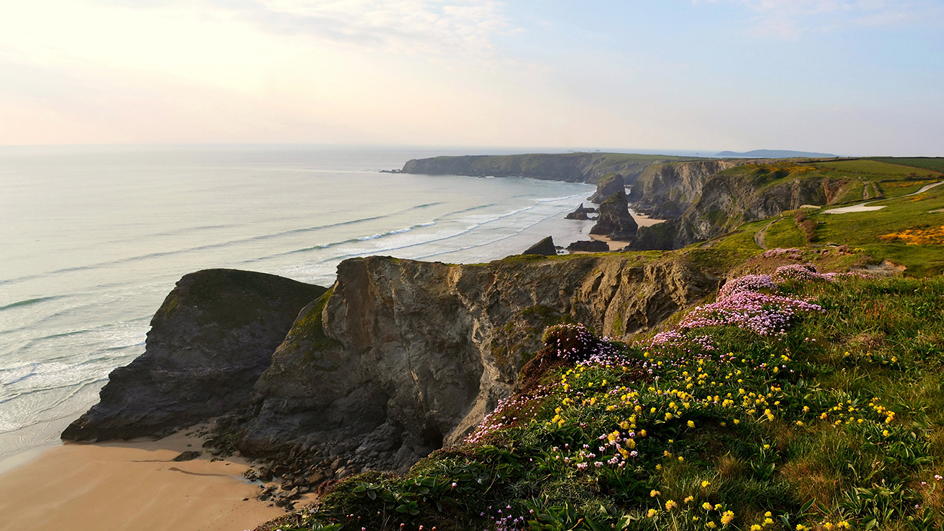 Image England Trenance Cliff Nature Moss Coast Grass 1920x1080